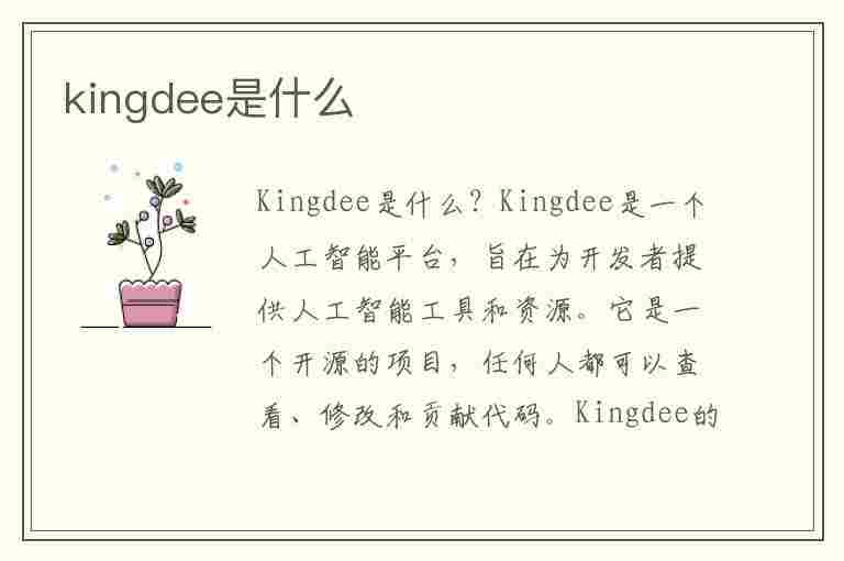 kingdee是什么(kingdee是什么公司)